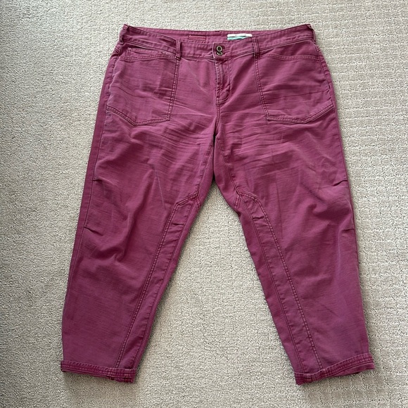 Anthropology, Pilcro the wanderer magenta pants size 18 W excellent condition - Picture 1 of 6